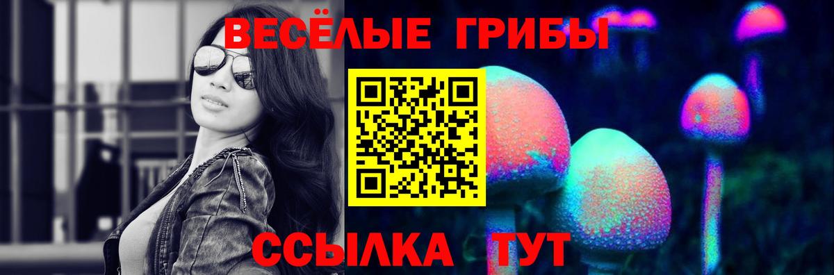 Галлюциногенные грибы Psilocybine cubensis Владивосток